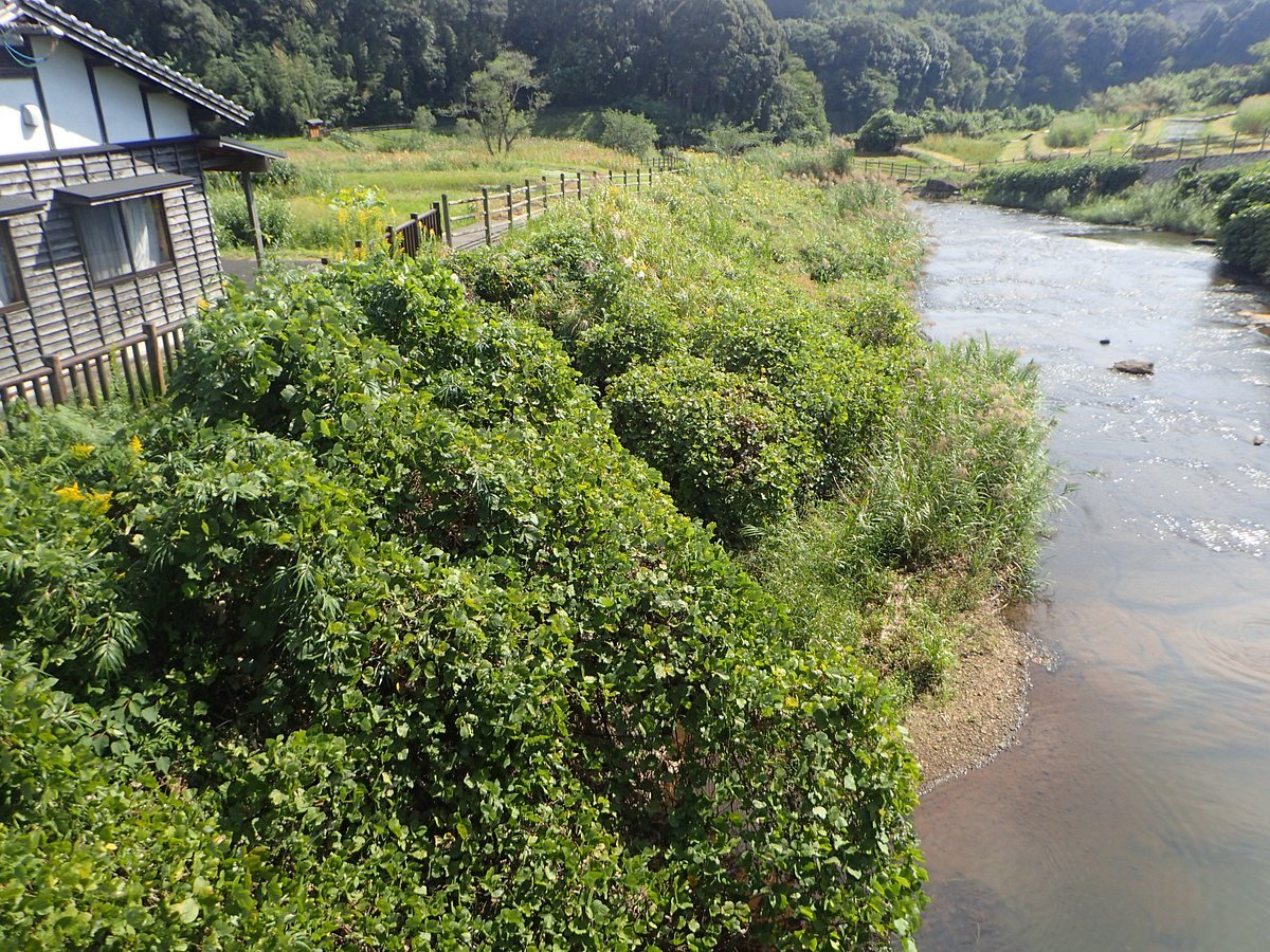 🏞️ 미야히토 강 생태공원(미야히토가와 비오토프) 이미지 1